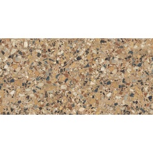 Cerdomus Neoclassica 108363 Ambra Brushed 8,5mm Керамогранит 60x120 см, Италия, терраццо - фото 1 - фото 1