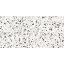 Cerdomus Neoclassica 108607 Aulite Brushed 8,5mm Керамогранит 60x120 см, Италия, терраццо - фото 1 - фото 1