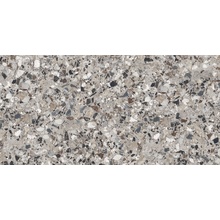 Cerdomus Neoclassica 108365 Diorite Brushed 8,5mm Керамогранит 60x120 см, Италия, терраццо - фото 1 - фото 1