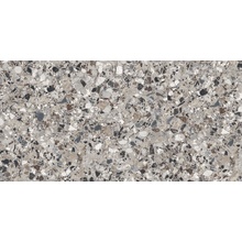 Cerdomus Neoclassica 108389 Diorite Levigato 8,5mm Керамогранит 60x120 см, Италия, терраццо - фото 1 - фото 1