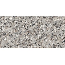 Cerdomus Neoclassica 108419 Diorite Safe Керамогранит 60x120 см, Италия, терраццо - фото 1 - фото 1