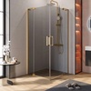 Cezares SLIDER-A-2-100/110-GRIGIO-BORO Серое стекло/Профиль Брашированное золото 110х195