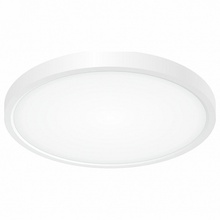Citilux Бейсик CL738240V Светильник Дания - фото 1 - фото 1