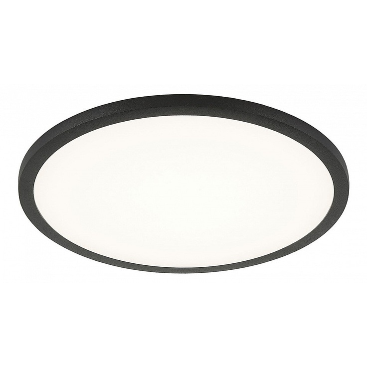 Citilux Омега CLD50R152 Потолочный светильник Дания - фото 1 Citilux Омега CLD50R152 Потолочный светильник Дания - фото 1