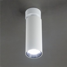 Citilux Тубус CL01B120N Спот Дания - фото 1 - фото 4