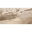 Colori Viva Splendida Monaco Brown Glossy Керамогранит 60x120 см, Индия, под мрамор - фото 1
