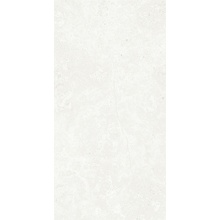 Creanza Palatino GI8015-CB Bianco Colorbody Glossy INK Керамогранит 60x120 см, Индия, под бетон  - фото 1 - фото 1