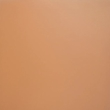 Dako City E-190/MR/600x600x9 Рект Керамогранит 60x60 см, Россия, ничего - фото 1 - фото 1