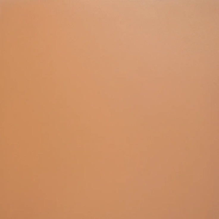 Dako City E-190/MR/600x600x9 Рект Керамогранит 60x60 см, Россия, ничего - фото 1 Dako City E-190/MR/600x600x9 Рект Керамогранит 60x60 см, Россия, ничего - фото 1