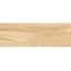 Delacora Woodstyle WT93WOS11R Elm Настенная плитка 30x90 см, Россия, под дерево - фото 9