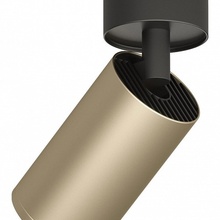 Denkirs Dk2029 DK2029-BG Спот Дания - фото 1 - фото 3