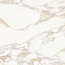 Diart Marbles Carlo KF PG RT Керамогранит 60x60 см, Индия, под мрамор - фото 1