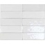 DNA Safi 122108 White Настенная плитка 5,2x16 см, Испания, под кирпич - фото 1 DNA Safi 122108 White Настенная плитка 5,2x16 см, Испания, под кирпич - фото 1
