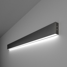 Elektrostandard 101-100-30-103 a042931 Светильник 103x3,5 см, Россия - фото 1 - фото 1