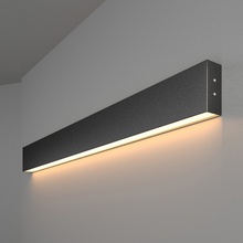 Elektrostandard 101-100-30-78 a042939 Светильник 78x3,5 см, Россия - фото 1 Elektrostandard 101-100-30-78 a042939 Светильник 78x3,5 см, Россия - фото 1 - фото 1
