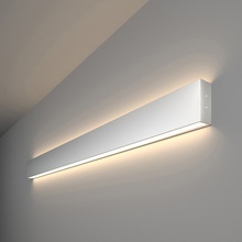 Elektrostandard 101-100-40-103 a041469 Потолочный светильник 103x8 см, Россия - фото 1 - фото 1