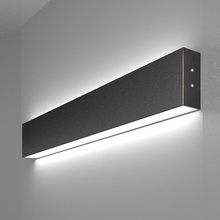 Elektrostandard 101-100-40-53 a042925 Светильник 53x3,5 см, Россия - фото 1 - фото 1