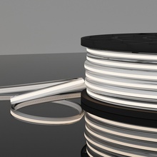 Elektrostandard 220V Cob Ip65 a068904 Лента светодиодная 5000x1,3 см, Россия - фото 1 - фото 2