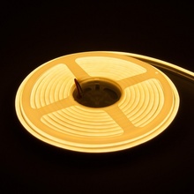 Elektrostandard 24V 10W a056258 Лента светодиодная 500x1,2 см, Россия - фото 1 - фото 3