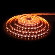 Elektrostandard 24V 60Led 24W Ip20 Rgbw a053701 Лента светодиодная 500x1x0,2 см, Россия - фото 1 - фото 3