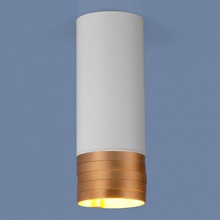 Elektrostandard DLN102 a047748 Светильник Россия - фото 1 - фото 1