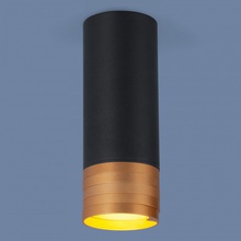 Elektrostandard DLN102 a047747 Светильник Россия - фото 1 - фото 1