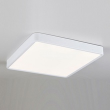 Elektrostandard DLR034 a043018 Потолочный светильник 26,5x26,5 см, Россия - фото 1 - фото 1