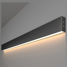 Elektrostandard Grand 101-100-30-103-2 Светильник 103x3,5 см, Россия - фото 1 - фото 1