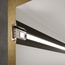 Elektrostandard Ll-2-Alp007 a053622 Комплектующее для светильников 200x2,2x0,6 см, Россия - фото 3