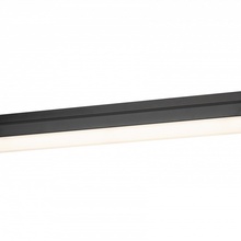 Эра TR53 - 3040 BK Потолочный светильник 60x4x6,8 см, Россия - фото 1 - фото 2