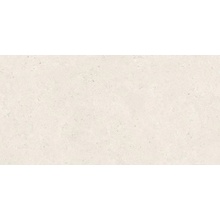 Ergon Gemma Stone ENN5 Fine Sale Silktech Plus R11 Керамогранит 60x120 см, Италия, под камень  - фото 1 - фото 1