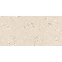 Ergon Gemma Stone ENWN Giant Sabbia Silktech Plus R11 Керамогранит 60x120 см, Италия, терраццо - фото 1 - фото 1