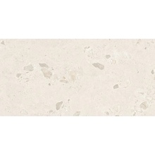 Ergon Gemma Stone ENWM Giant Sale Silktech Plus R11 Керамогранит 60x120 см, Италия, терраццо - фото 1 - фото 1