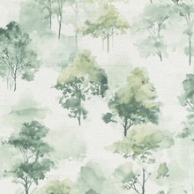 Erismann Forest Dreams ER12264-07 Растительность Виниловые обои 1005x106 см, цвет: зеленый, Германия - фото 1 - фото 1