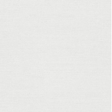 Erismann Forest Dreams ER12270-01 Под ткань Виниловые обои 1005x106 см, цвет: белый, Германия - фото 1 - фото 1