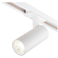 Escada 20002 20002TRA/02LED SWH Трековый светильник Великобритания - фото 1 - фото 3