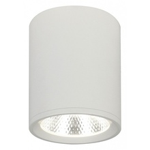 Escada 20003 20003SMU/02LED SWH Светильник Великобритания - фото 1 - фото 1