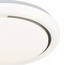 Escada 10227/SG LED APP Светильник Великобритания - фото 4
