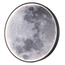 Escada Planet 10226/SG LED Moon Настенно-потолочный светильник Великобритания - фото 4