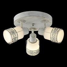 Eurosvet 20025-20026 20026/3 белый с золотом Спот 38x38 см, Китай - фото 1 - фото 2