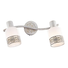 Eurosvet 20025-20026 20025/2 белый с золотом Спот 35x16 см, Китай - фото 1 - фото 1