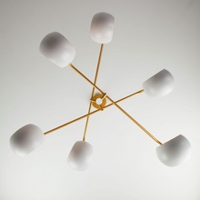 Eurosvet 70055 70055/6 белый Потолочный светильник Китай - фото 1 - фото 2