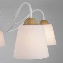 Eurosvet 70062 70062/5 белый Люстра потолочная Китай - фото 1 - фото 4