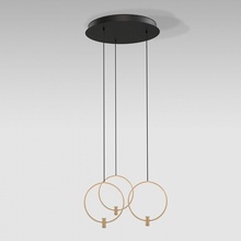 Eurosvet Layla 50257/3 LED черный/ латунь Потолочный светильник Китай - фото 1 - фото 1