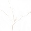 Eurotile Statuario Gold 0001 Напольная плитка 40x40 см, Индия, под мрамор - фото 10