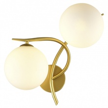 Evoluce Artu SLE2210-201-02 Бра 34x36 см, Италия - фото 1 - фото 2