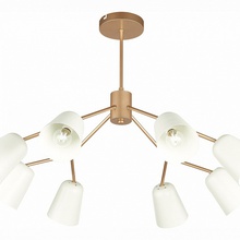 Evoluce Mario SLE155902-08 Люстра Италия - фото 1 - фото 3