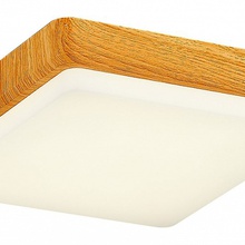 Evoluce Taddio SLE200202-01 Светильник 24x24x5 см, Италия - фото 1 - фото 2