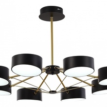 Evoluce Valle SLE6005-402-08 Люстра Италия - фото 1 - фото 3