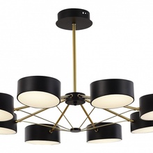 Evoluce Valle SLE6005-402-08 Люстра Италия - фото 1 - фото 4